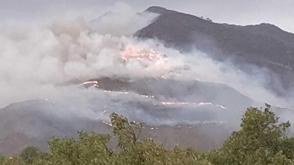 Una imagen del humo provocado por el incendio.