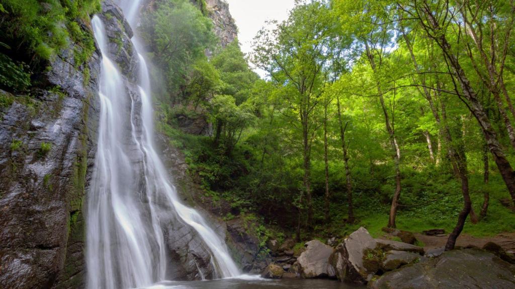 Seimeira de Vilagocende (Fuente: Shutterstock)