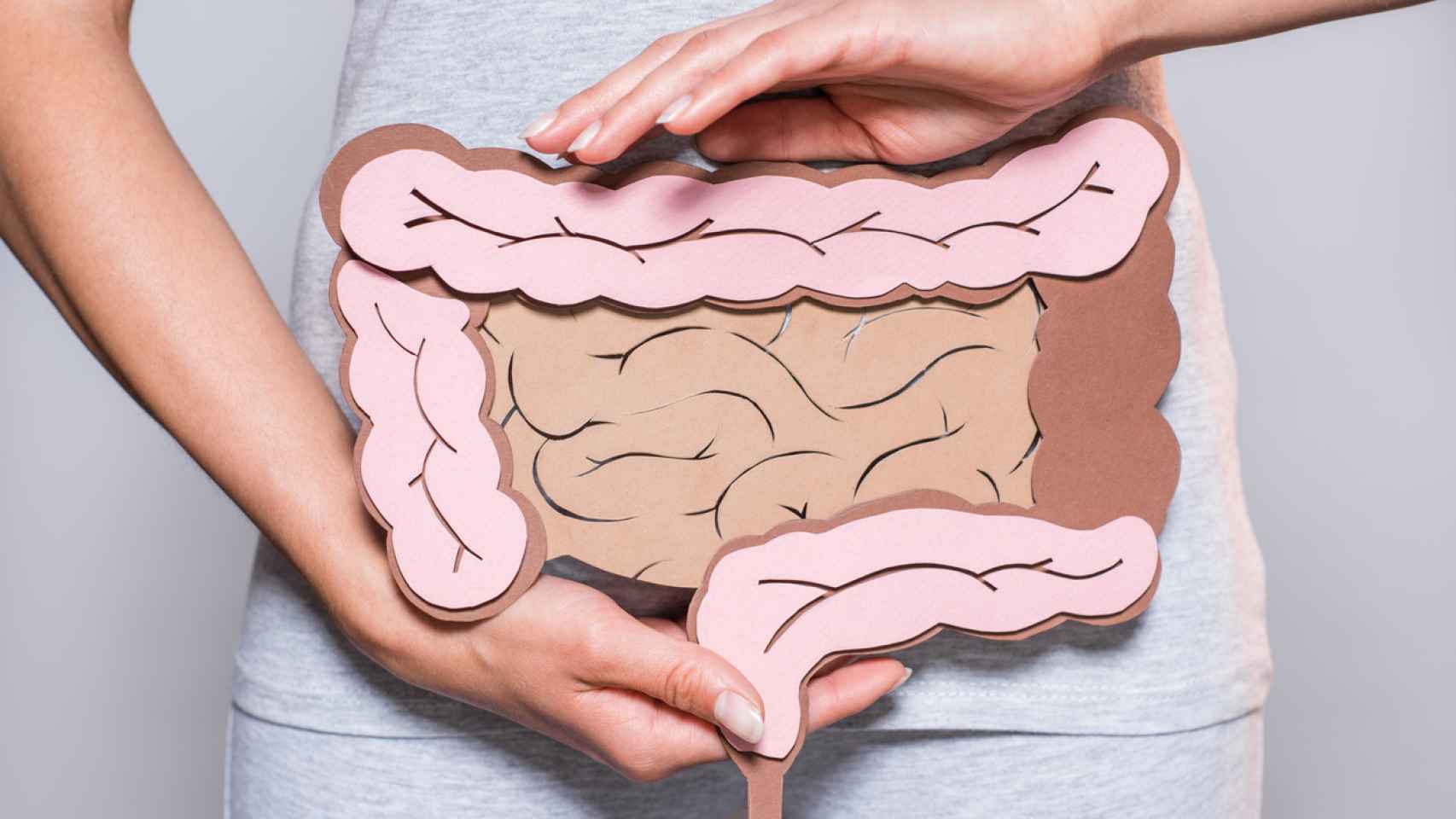 En el intestino ocurre la digestión y absorción de los alimentos.
