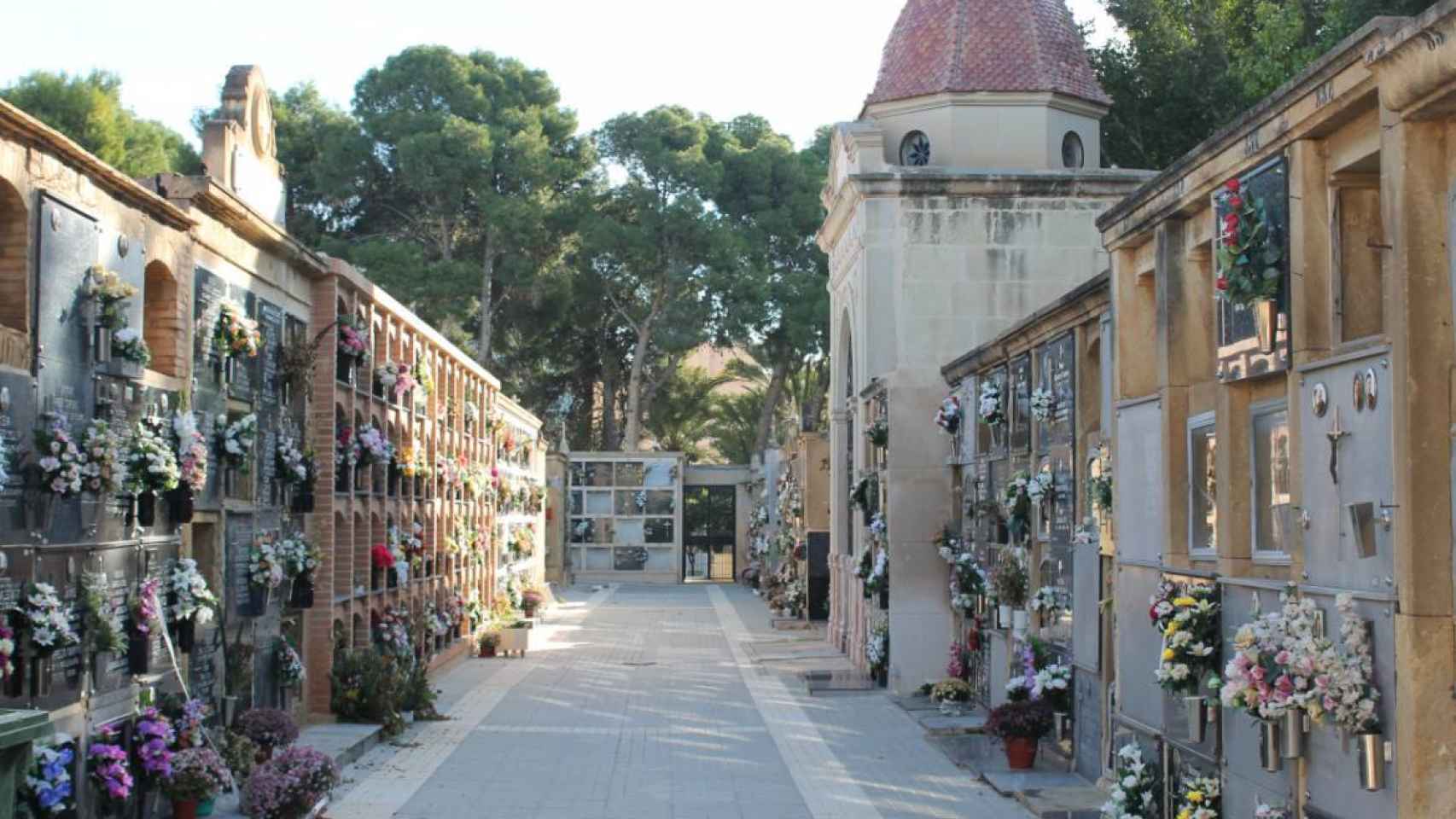 El Cementerio Viejo de Elche.