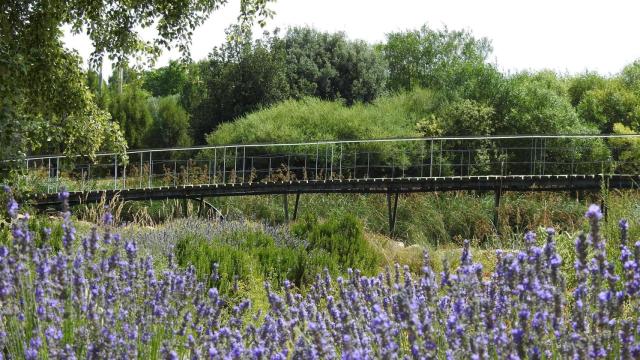 El Jardín Botánico de Castilla-La Mancha.