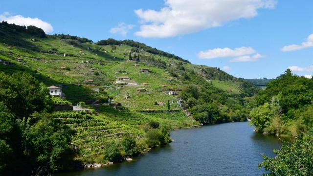 Reserva de la Biosfera de Ribeira Sacra