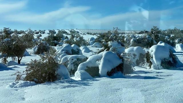 Temporal Filomena en Castilla-La Mancha. Imagen de archivo