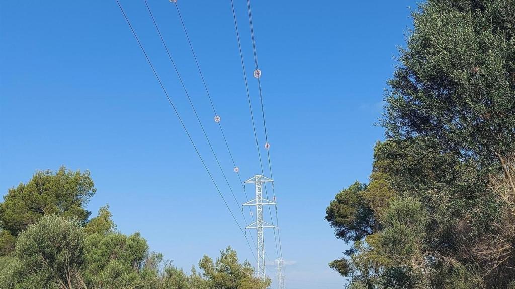 Endesa reutiliza y recicla la mayoría de residuos del mantenimiento de la red