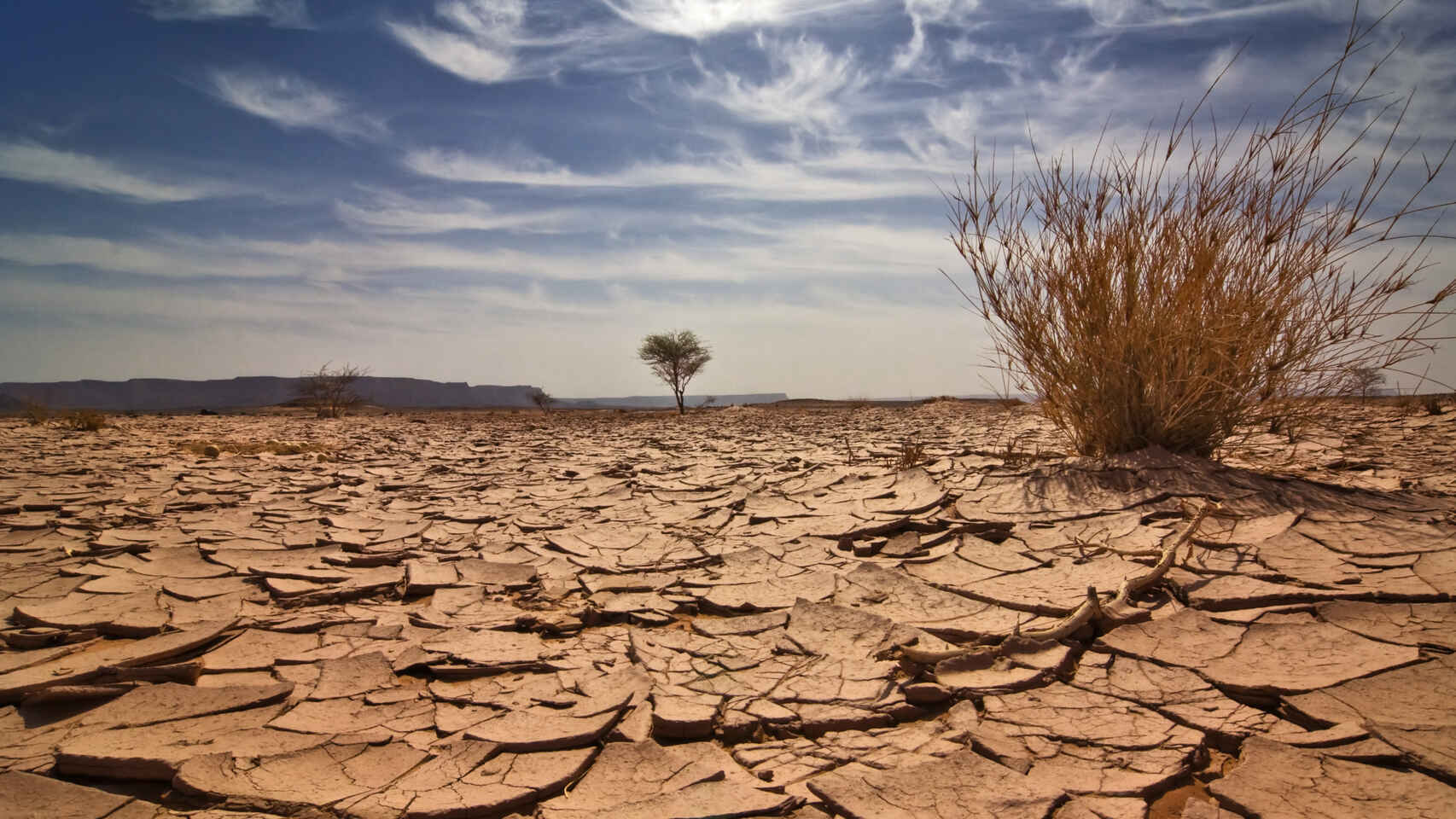 Imagen de archivo de una sequía.