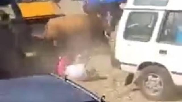 Polémico vídeo: a patadas desde el coche contra el toro que embestía a un hombre en Guadalajara