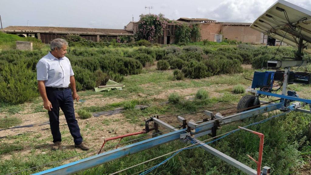 El agricultor mallorquín admirando su invento.