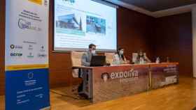 Se presentan en Expoliva los avances en la aplicación de métodos instrumentales para clasificar los Aceites Vírgenes de Oliva