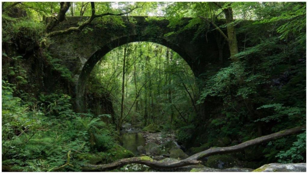 Puente de piedra sobre el río Sesín.