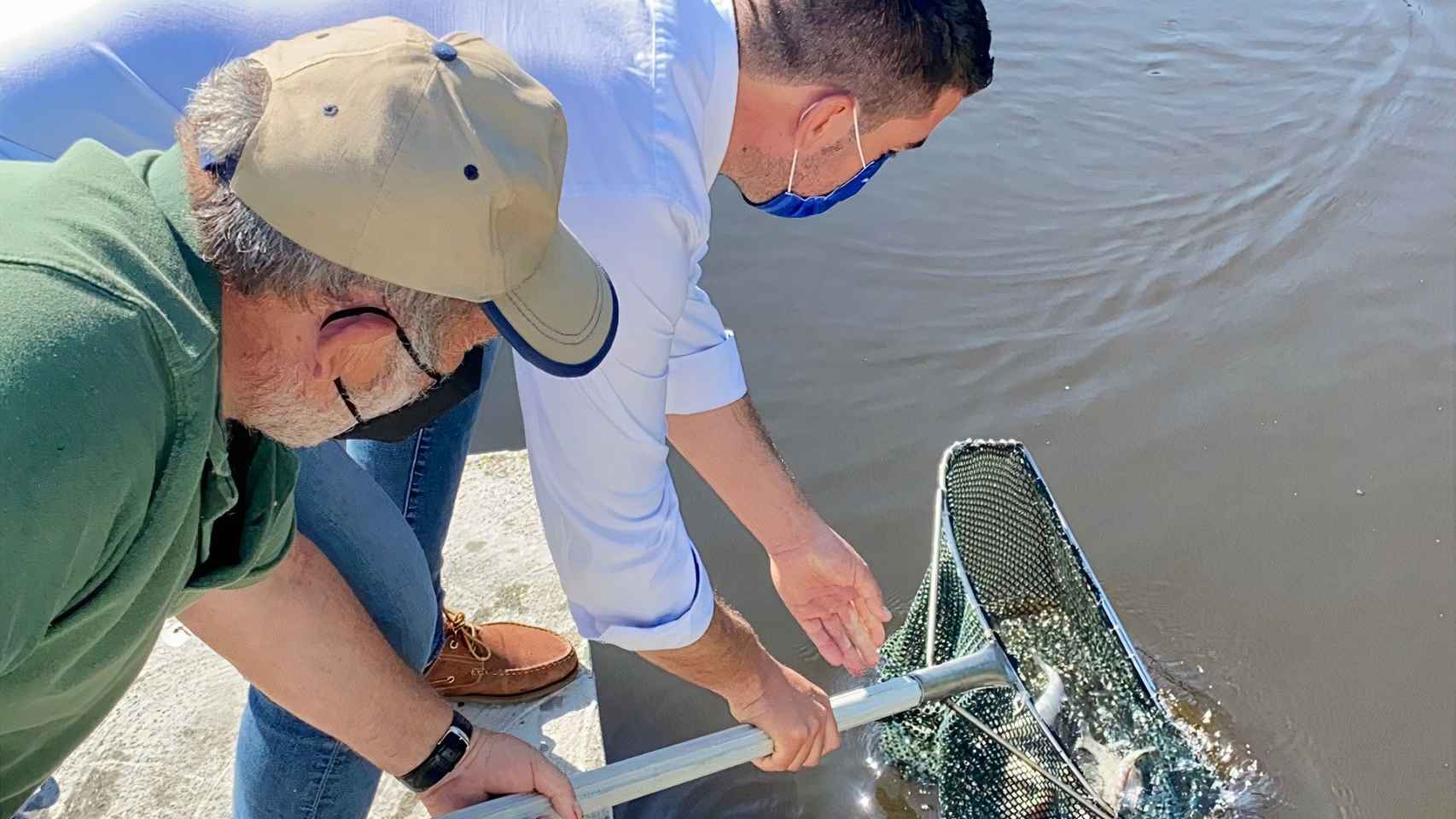 Un centenar de nuevas truchas repueblan la fauna del Lago Castiñeiras, en Marín