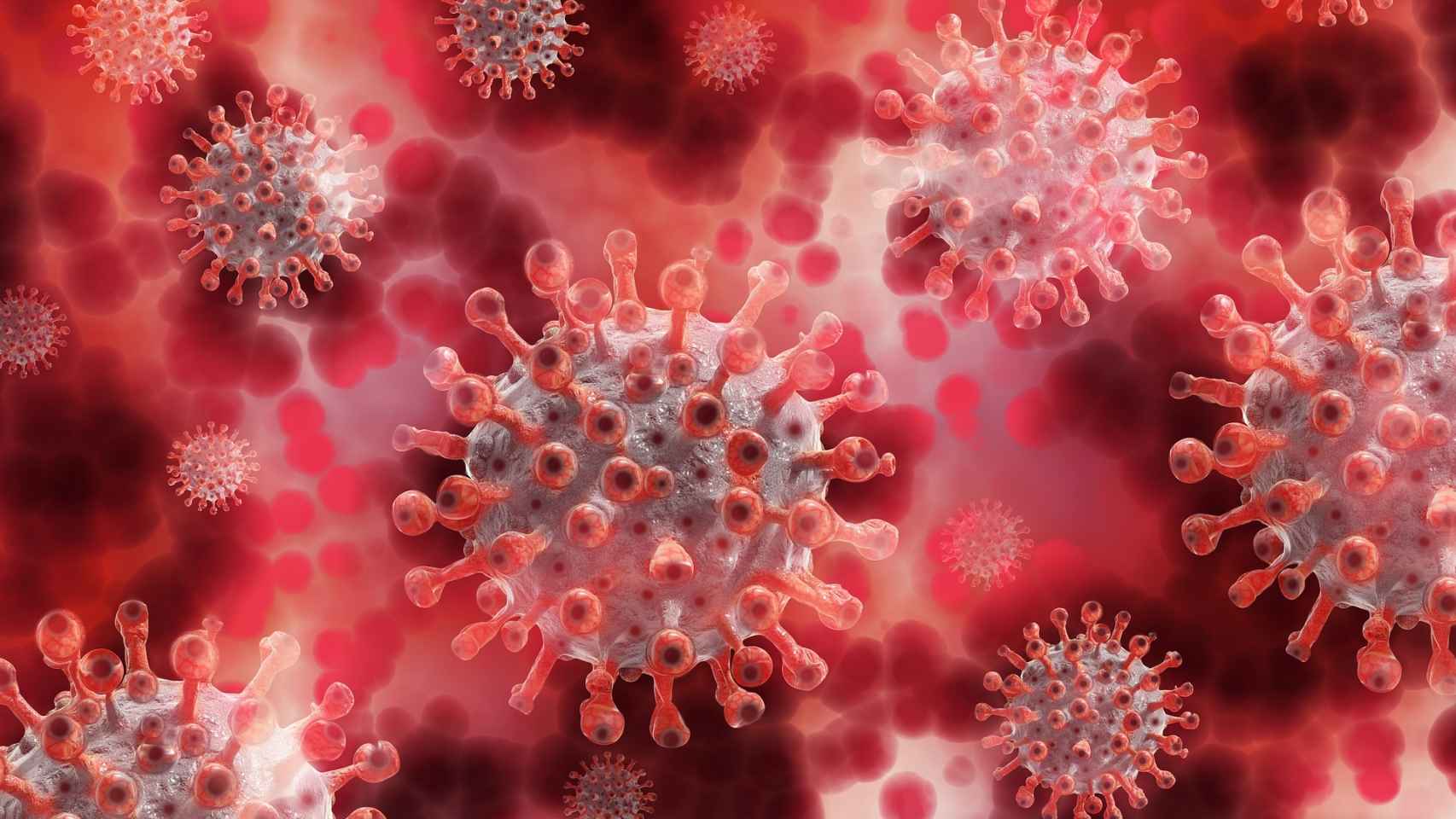 El Comav señala la capacidad de los extractos de cúrcuma y mostaza para impedir la capacidad reproductiva del virus.