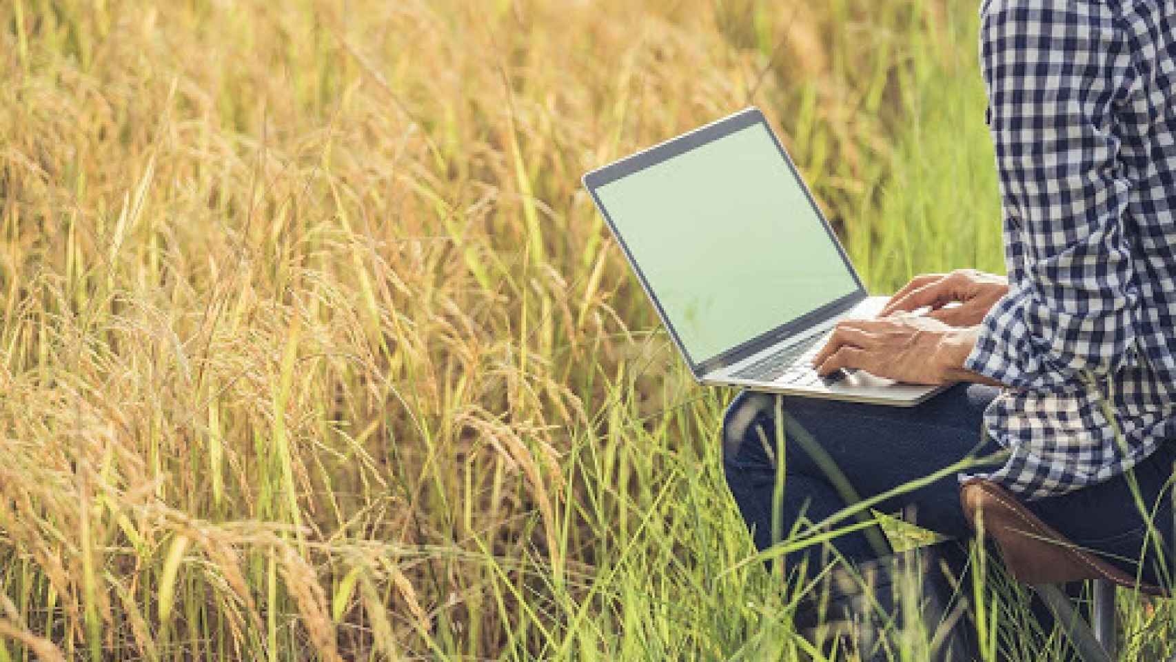 Un hombre utilizando un ordenador en el campo.
