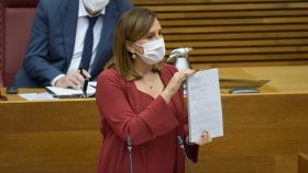 Catalá exhibe la sentencia del TSJCV que afea la gestión de la Generalitat ante los abusos del ex de Oltra. EE