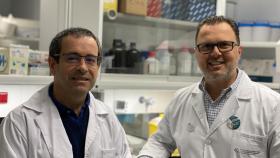 Los investigadores del IDIS Antonio Salas y Federico Martinón