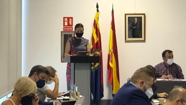 Un momento de un pleno del Ayuntamiento de Elche.