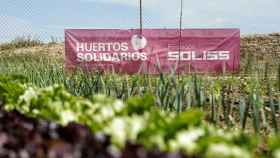 Huestos-Solidarios-Soliss-