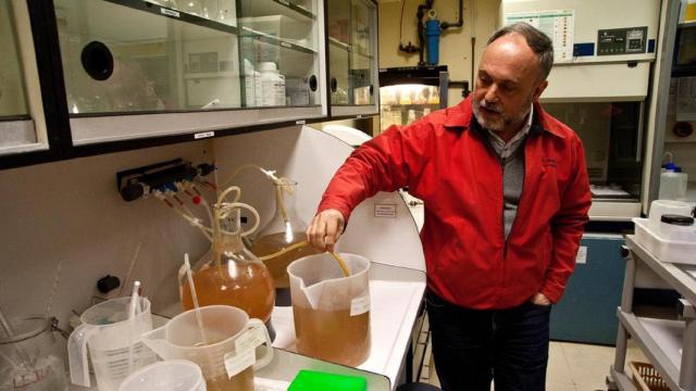 El director técnico del Aquarium Finisterrae de A Coruña, Paco Franco.