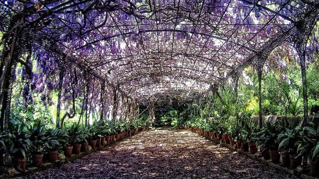 Uno de los puntos más coloridos del Jardín Botánico de la Concepción, en Málaga.