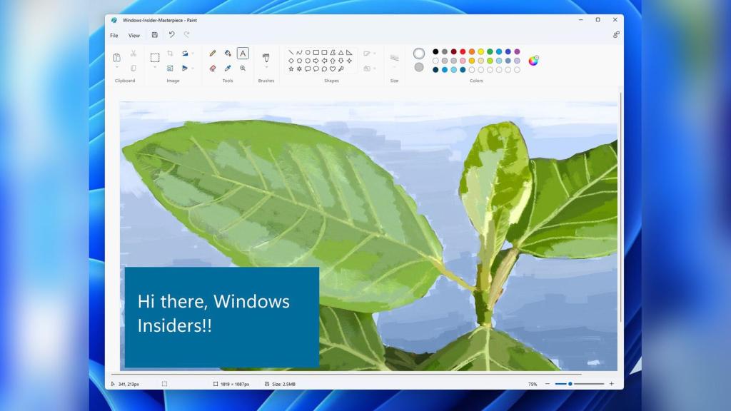 Paint en Windows 11.