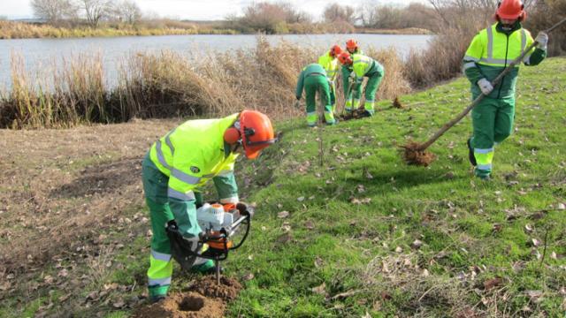 Trabajadores forestales