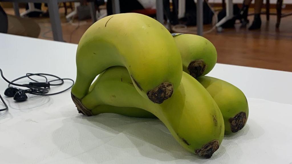 Plátanos colocados por el PP de Guadalajara