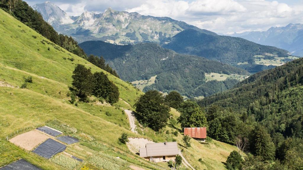 El “Domaine Clarins”, diez hectáreas de plantas para la belleza