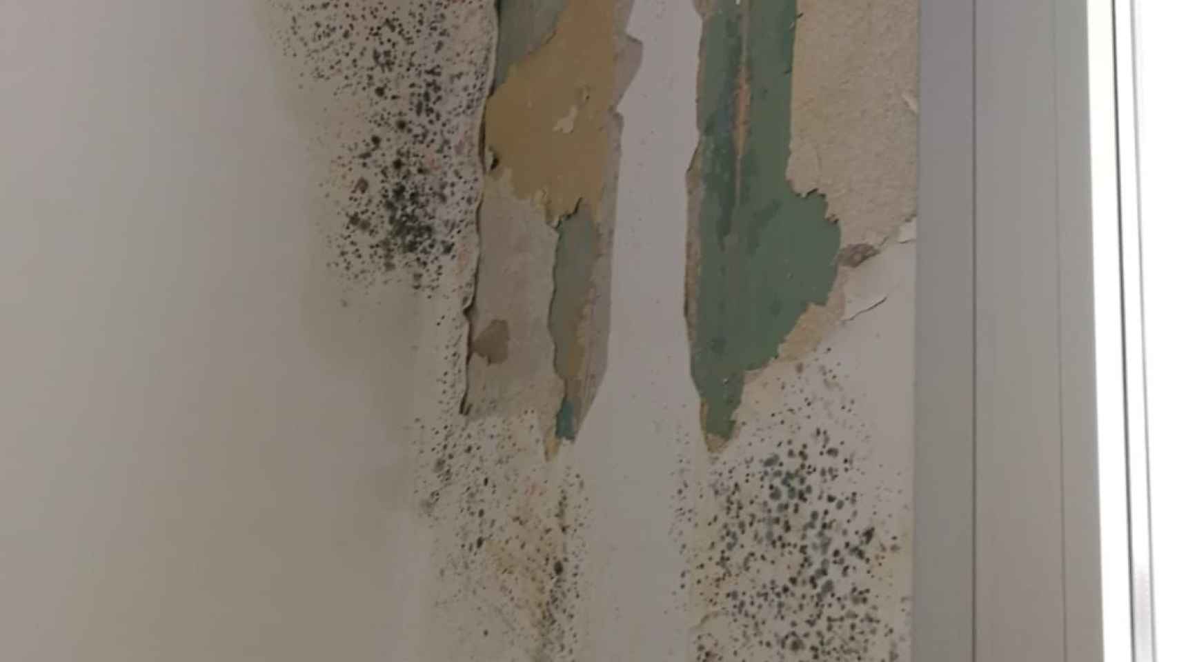 Imagen del deterioro de las paredes de la Casa de las Asociaciones por las filtraciones de agua y la humedad