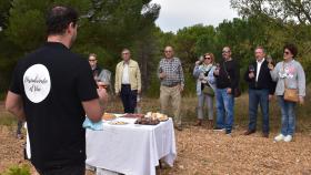 La Ruta del Vino Cigales acerca a los turistas la temporada de vendimia en la provincia