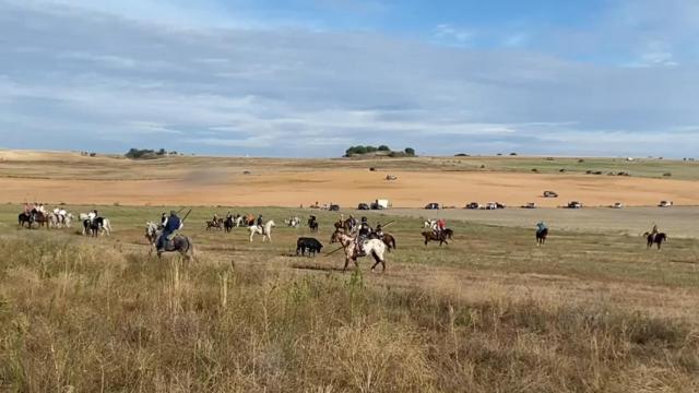 El encierro de Castronuño, primero en la provincia de Valladolid tras la pandemia