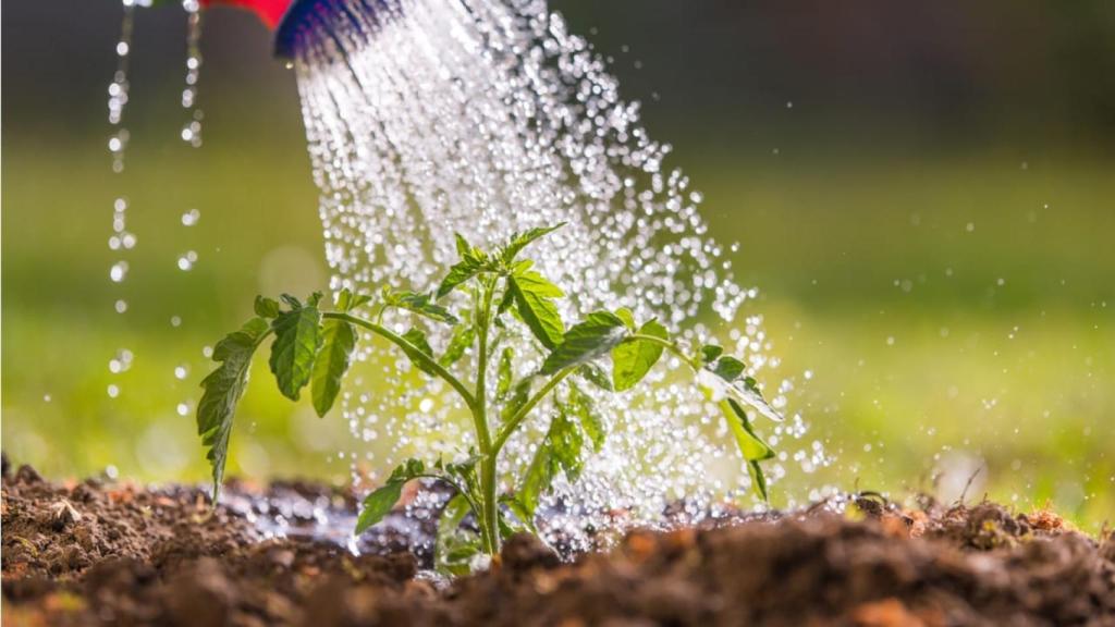 Cómo gestionar el agua potable, recurso vital para la sostenibilidad de la agricultura en España