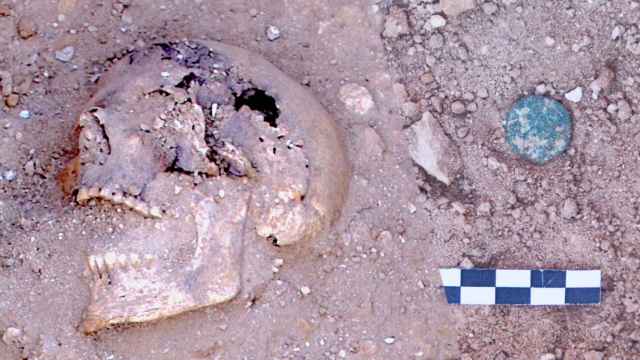 El equipo de José Luis Ménedez interpreta el nuevo hallazgo de las monedas encontradas en las tumbas del yacimiento de la Pobla d'Ifach.