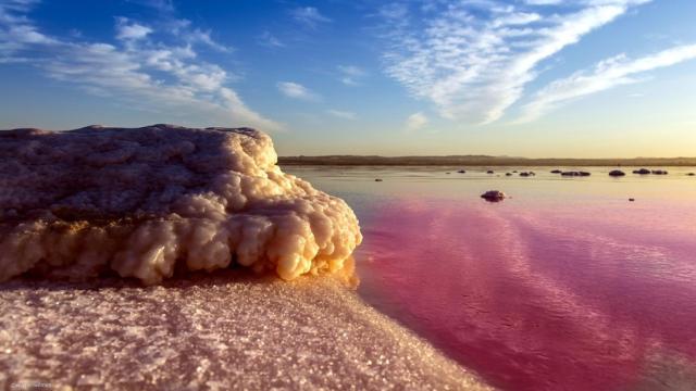 La Complutense plantea crear un centro de talasoterapia en la laguna rosa de Torrevieja.