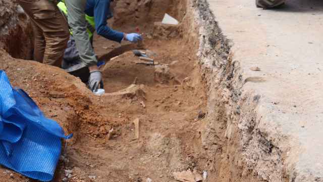 Encuentran restos óseos de al menos diez individuos en el corazón de Albacete