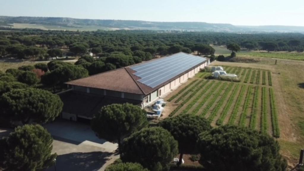 Bodega Abadía Retuerta.