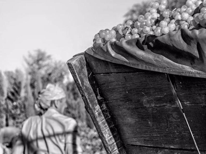 Imagen de Natalia Roncero ganadora de 'Mi rincón favorito de Tomelloso'