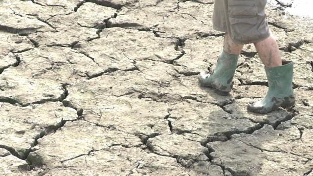 Valencia del Ventoso (Badajoz) restringe el agua a cinco horas al día debido a la sequía.