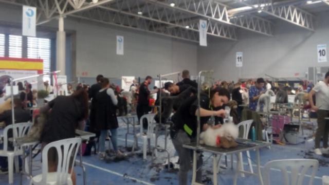 Imagen de la actividad canina de una edición anterior de Fimascota