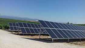 Bodegas González Byass se alía con Iberdrola, Endesa X y Contigo Energía para instalar fotovoltaica