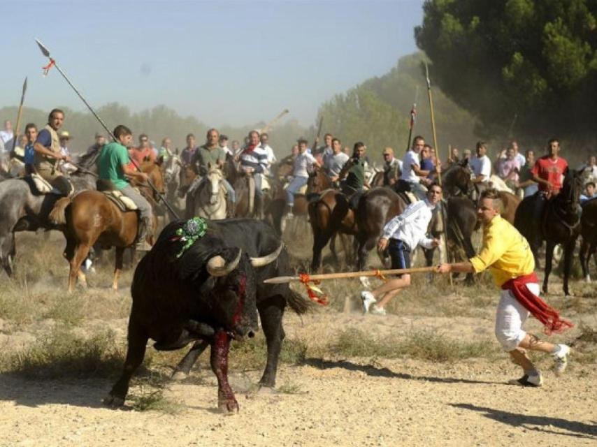 Un joven se enfrenta al astado bajo la atenta mirada de los caballistas