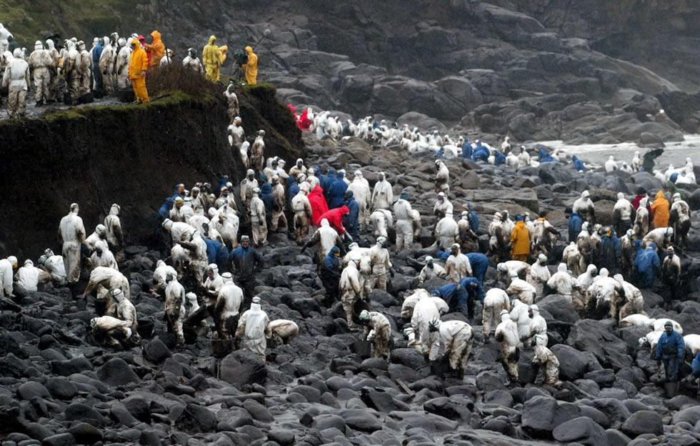 Voluntarios limpiando Marea Negra del Prestige. https://elrinconlegal.com/