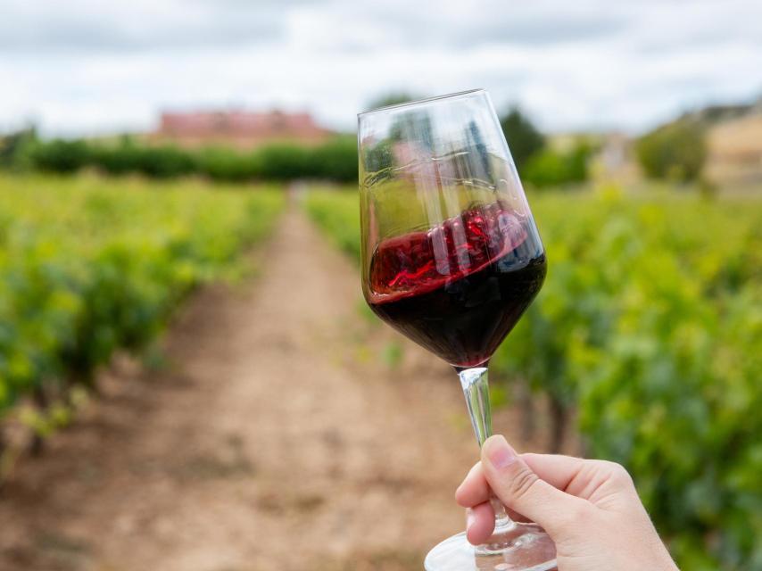 Respeto por la naturaleza en la Ribera del Duero.