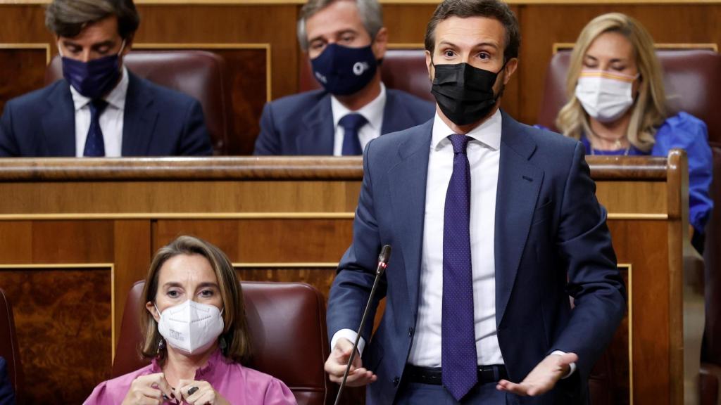 Pablo Casado, presidente del PP, en el Congreso.