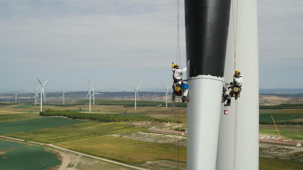 Iberdrola pinta las palas de parques eólicos de Navarra y Cádiz para disuadir a las aves