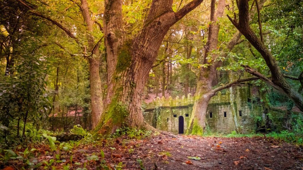 Bosque encantado Aldán (Fuente: Shutterstock)