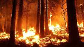 La sequía eleva el riesgo de incendios forestales en la Comunidad