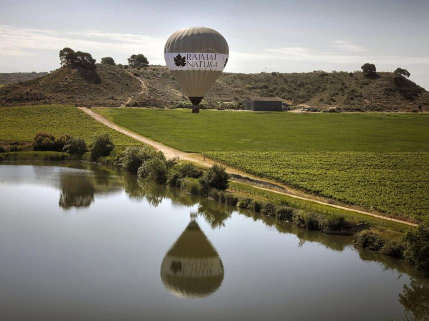 Costers del Segre tiene un proyecto propio de sostenibilidad.