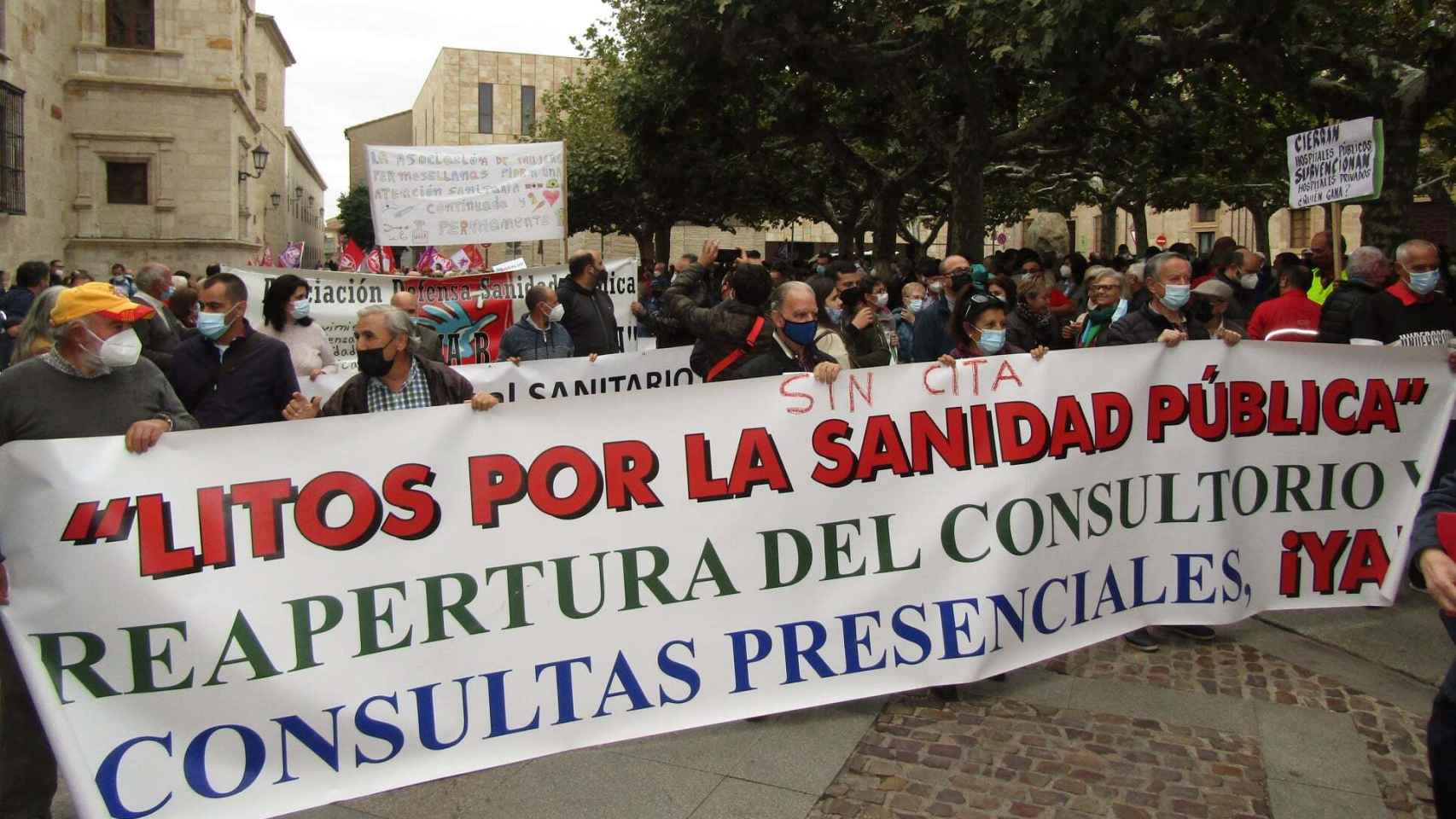 PSOE de Zamora en la manifestación