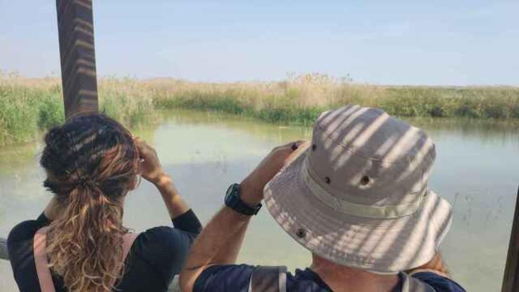 Birdwatchers en El Hondo.