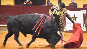 José Garrido torea al sexto de la tarde, un toro de Domingo Hernández, que fue indultado
