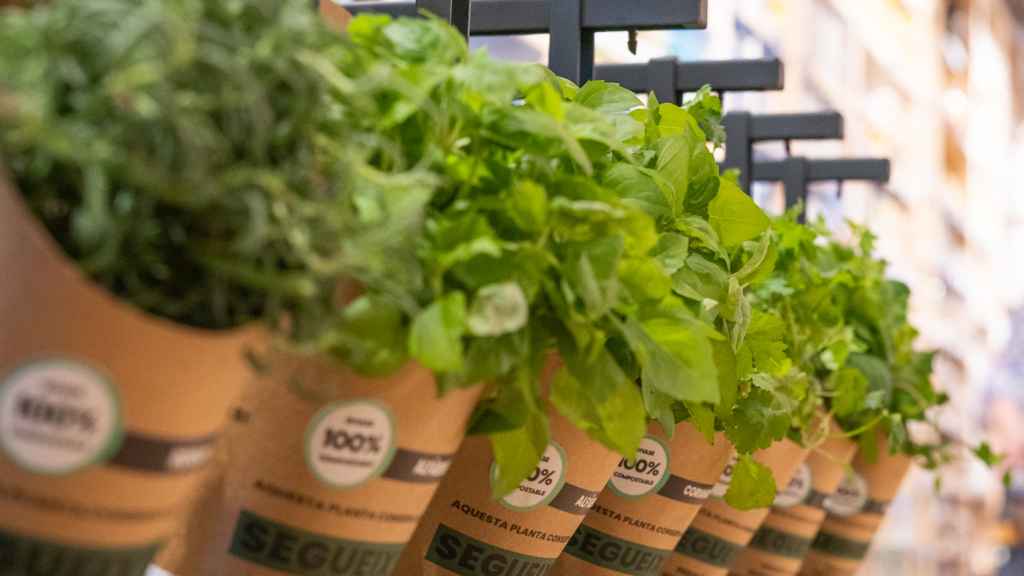 La empresa prevé que sus nuevas plantas con proteína vegetal estén en el mercado en 2022.